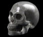 Preview: Fossil Stone Skull